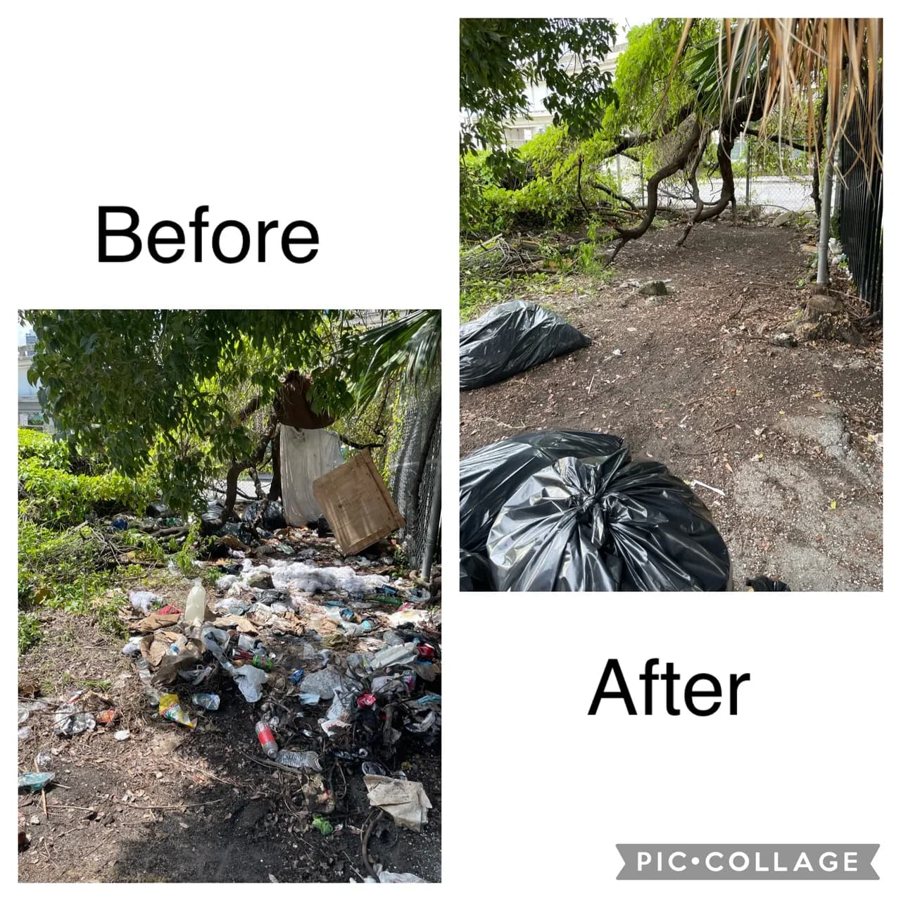 Before and after cleanup example 6
